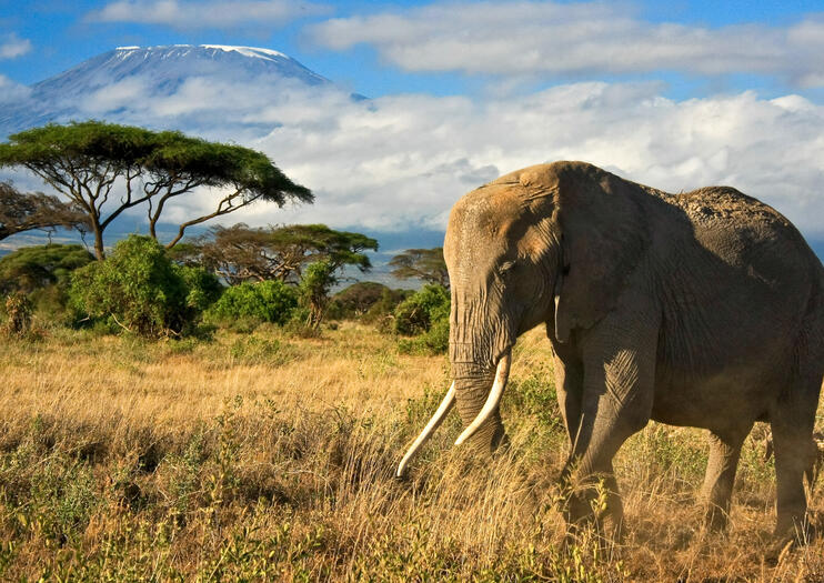 Parc national d'Amboseli
